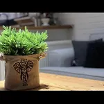 Minihane ספנג'ה